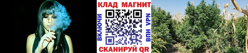 Где продают наркотики Звенигород Марихуана  Меф  A PVP  Гашиш  Бутират  Кокаин 