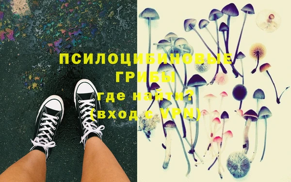 марки lsd Горняк