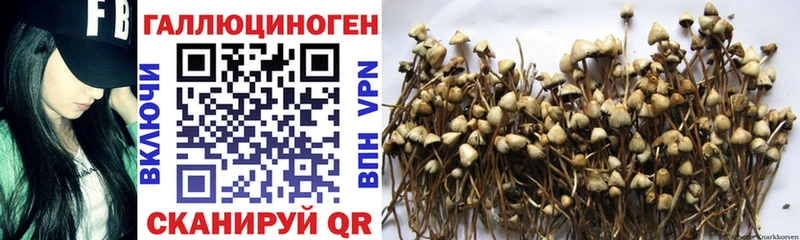 Псилоцибиновые грибы мухоморы  Звенигород 