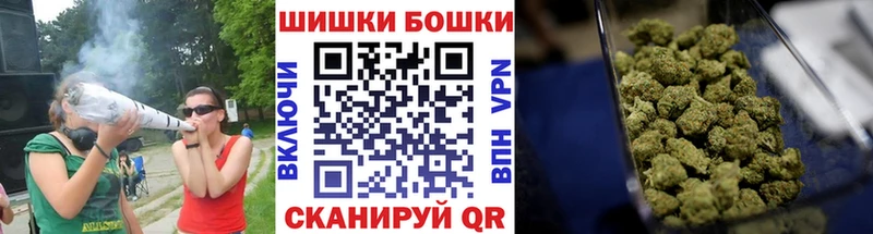 закладка  Звенигород  Конопля конопля 